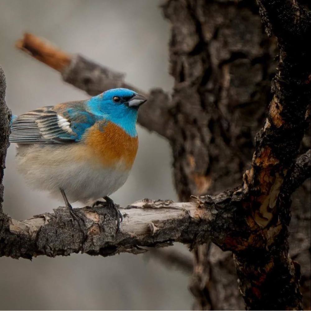 Meet your Posher, Joan